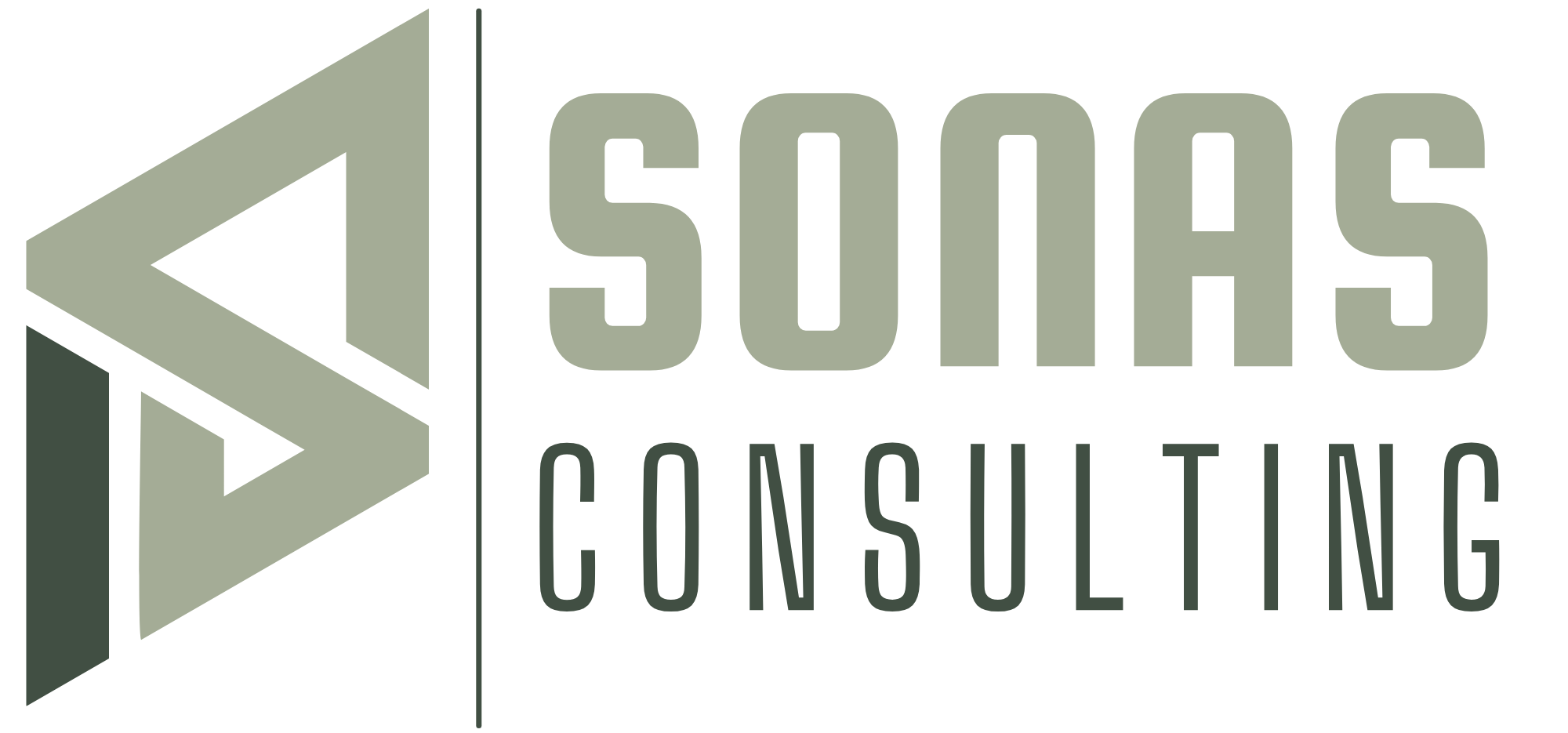 Sonas Consulting